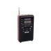 Tecsun Degen DE36 radio