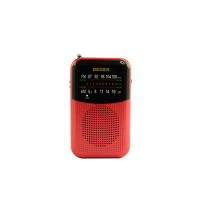 Tecsun Degen DE797 radio