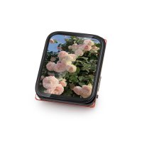 Makerfabs MaTouch ESP32-S3 AMOLED with Touch 1.8'' FT3168