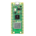 Raspberry Pi PICO W (Wireless) Raspberry Pi PICO W (Wireless)