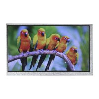 Parallax 27390 7 inch HDMI Display 800 x 480