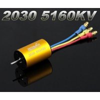 Brushless Motor 2 Pole - 2030-18T 5160KV