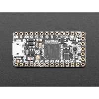 Adafruit 3800 ItsyBitsy M4 Express featuring ATSAMD51