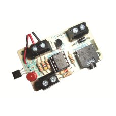 Digital Temperature Sensor Kit AXE113S