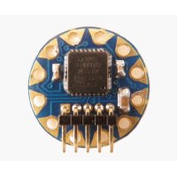 TinyLily Mini Processor Board