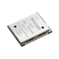 W01 OEM Module 