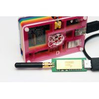 RADiuS-D: Wireless USB Dongle for Raspberry-Pi - Pair of Two