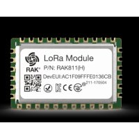 RAK811 WisDuo LPWAN Module