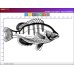 Laser Engraver Upgrade Pack - 500mW for XY-Plotter Robot Kit V 2.0